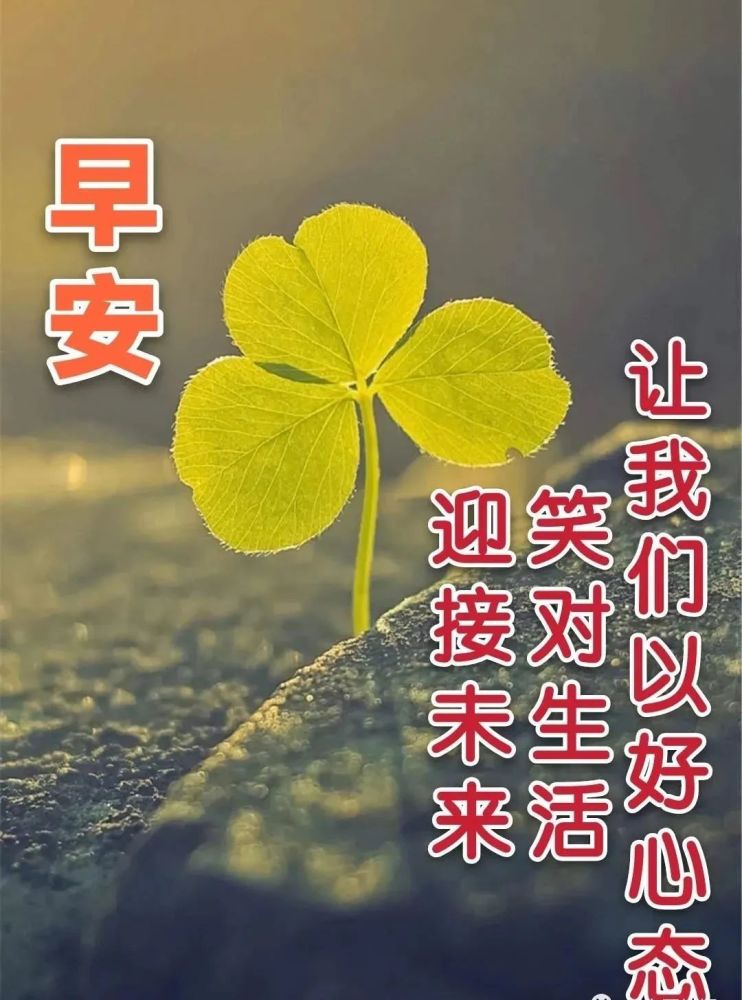 2021最新關心朋友的早晨好圖片帶字2021最美早上好圖片集錦