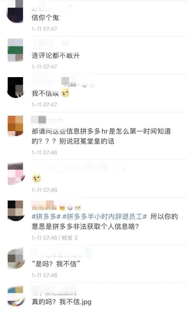 拼多多回应员工匿名发帖被辞退-WordPress极简博客
