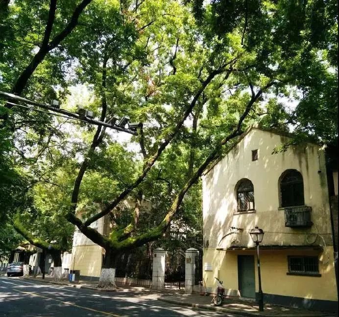 30个国家级历史文化街区等你打卡