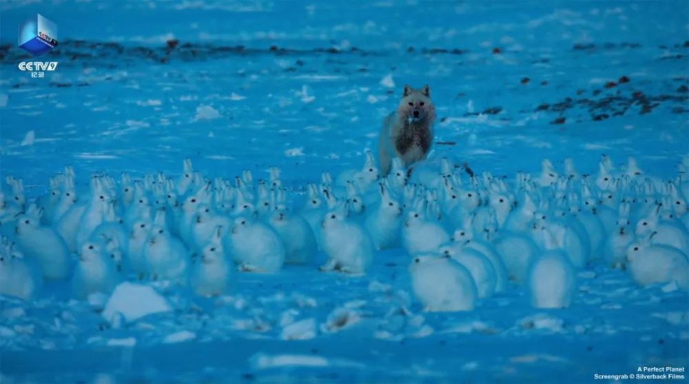 完美星球|阳光赐予地球的礼物，请查收！21：00【完美星球 2】