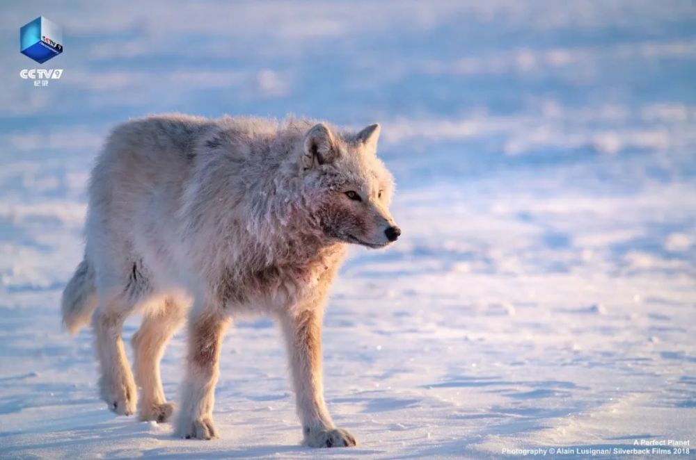 完美星球|阳光赐予地球的礼物，请查收！21：00【完美星球 2】