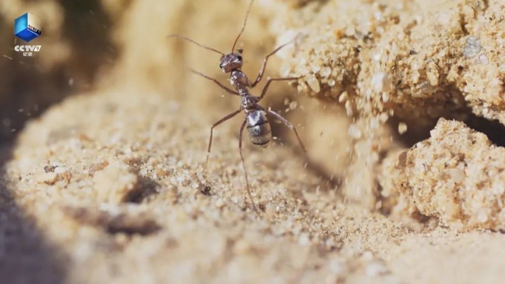 完美星球|阳光赐予地球的礼物，请查收！21：00【完美星球 2】