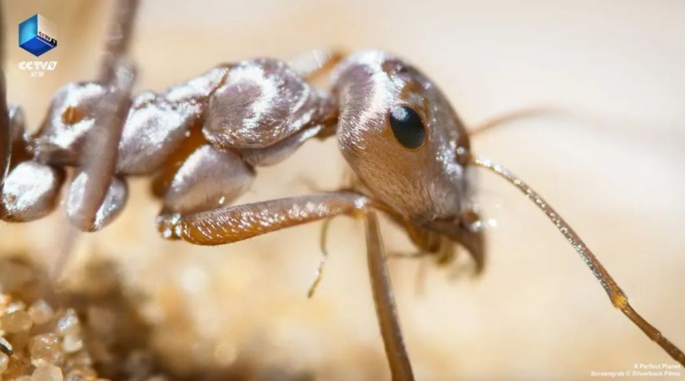 完美星球|阳光赐予地球的礼物，请查收！21：00【完美星球 2】