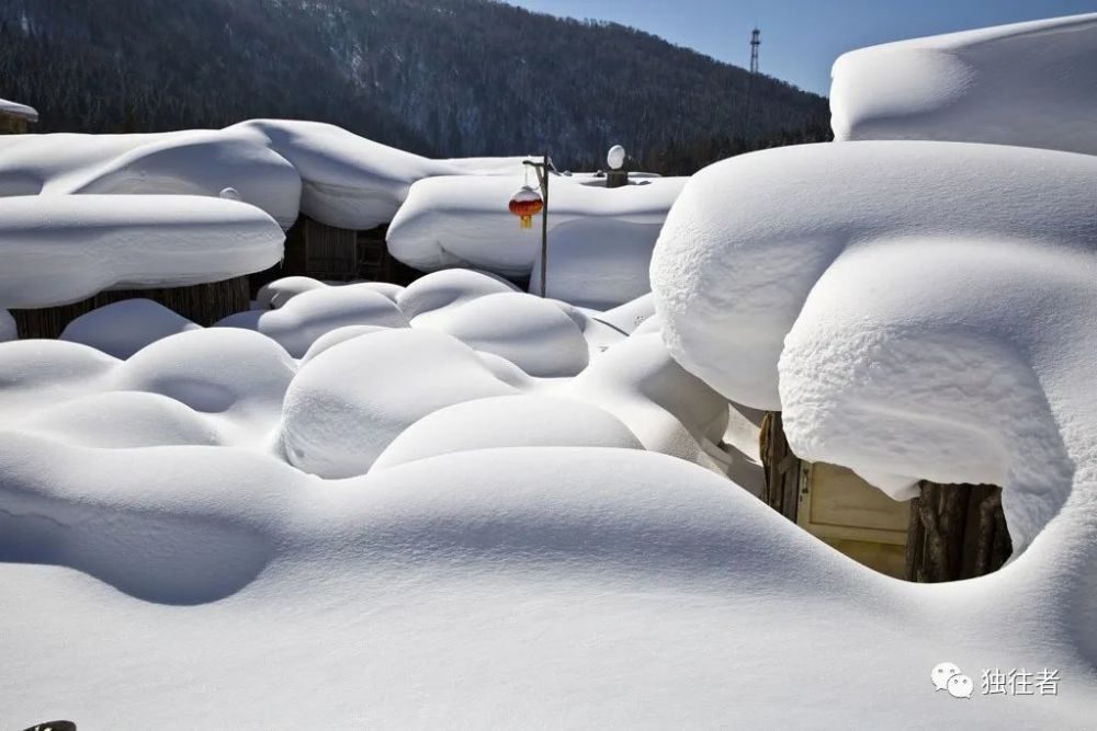 雪中的浪漫如天上的朵朵白云撒落人间幻化无穷