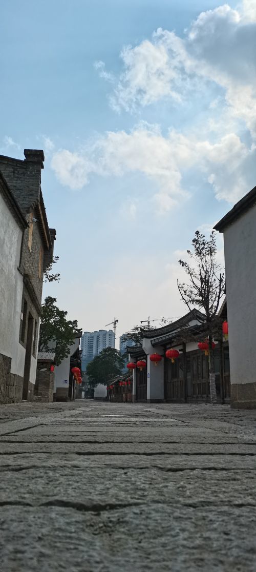 "探访古厝之美 热迎世遗举办"摄影作品《和平街》