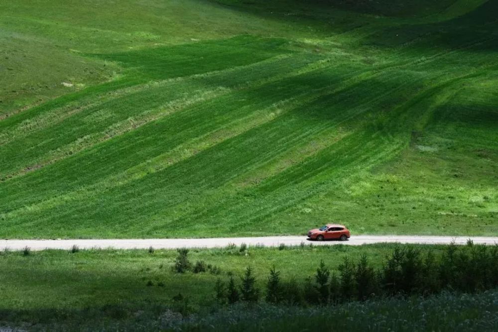 电梯门口的防夹装置有盲区