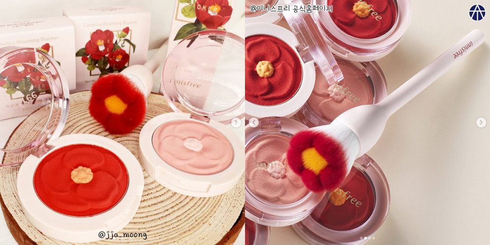 innisfree推出山茶花腮红!韩妞人手都一块