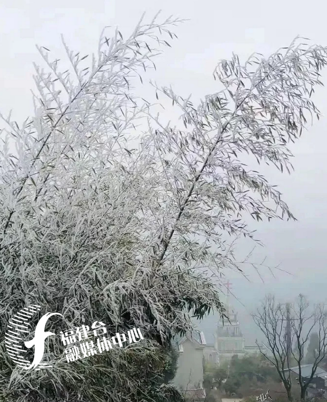 鼓岭下雪了图片