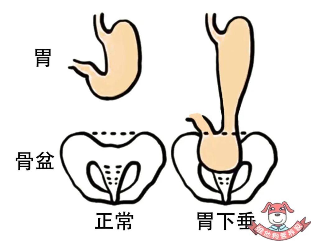 肠胃问题,是中国人普遍都有的一个问题.
