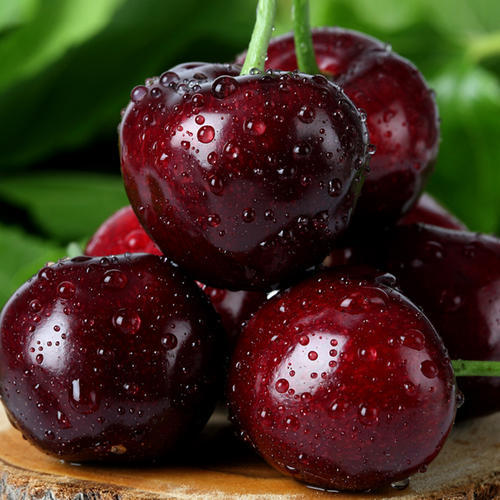 价格腰斩车厘子自由指日可待买前先看这7个真相吧