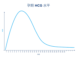 還是孕早期,孕婦體內的人絨毛膜促性腺激素(hcg)水平迅速升高導致的