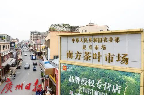 作为全国茶叶流通的枢纽和集散地,品牌孵化地,南方茶叶市场所在的芳村