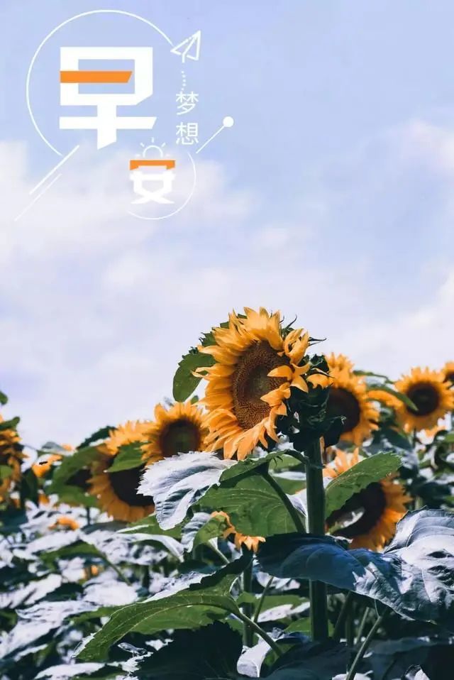 早上发朋友圈的正能量句子新的一天拥抱更好的自己