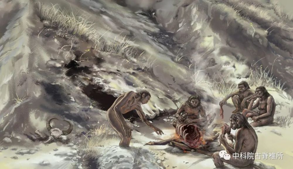 科研速报和县直立人头骨表面痕迹揭示埋藏环境与生存活动