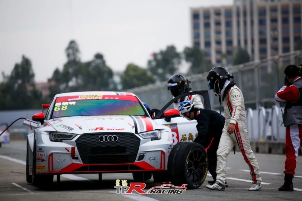 耐力排行_世界上十大长跑耐力最强的动物排行,骡子上榜,第一绝对无争议