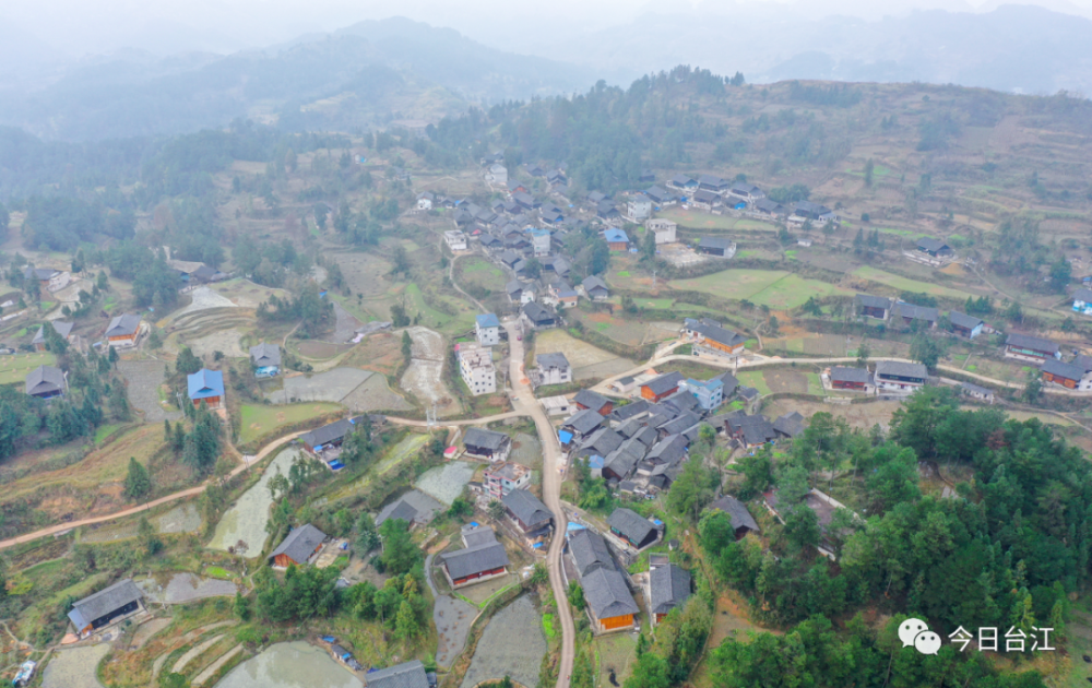 千年之变:干旱穷乡奏响巨变曲——台盘乡棉花村发展侧记