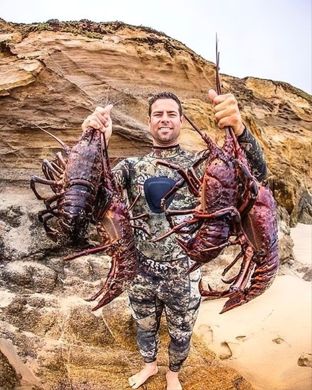 长生不老,永葆青春真的不再是神话,探秘巨型龙虾不死之谜 - 死掉的