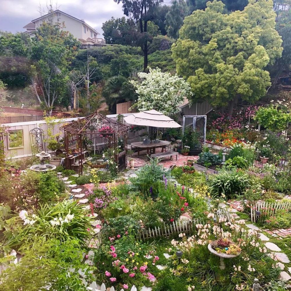 乡村庭院,那抹乡愁,游走在灵魂深处