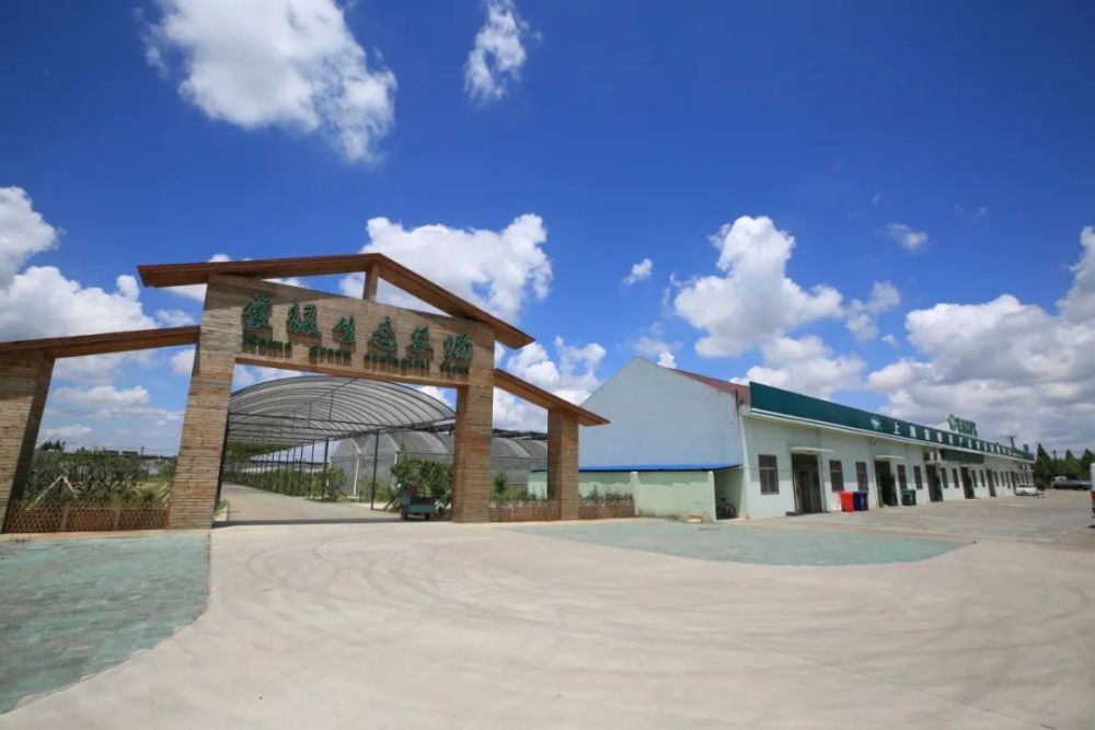 张泽老镇改造提升,农民集中居住,创建"四好农村路"