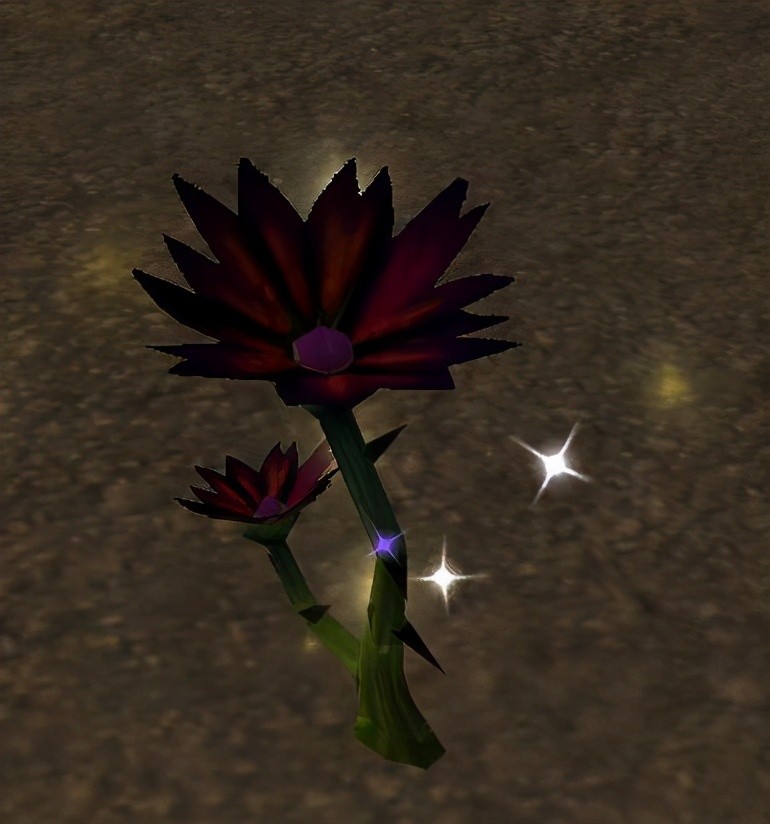 魔兽世界黑莲花采摘迫在眉睫两位玩家不争抢竟然先拍照留念