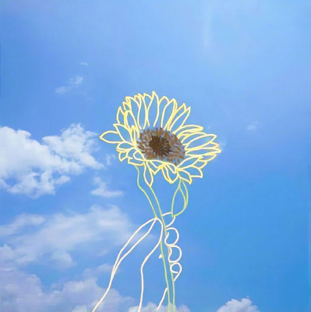 早上充满阳光的句子温暖美好沁人心脾