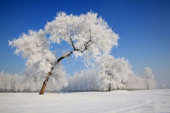 發個雪景的說說雪天走心文案