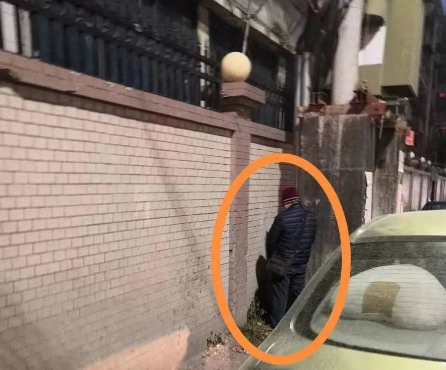 辣眼睛陆丰东海一男子当街小便