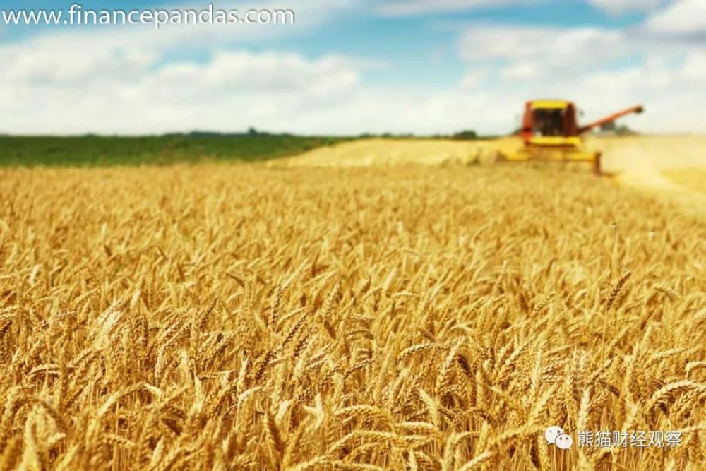 澳大利亚小麦出口商将目光投向中国以外的北非地区