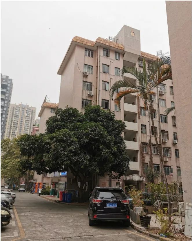 南山区莱英花园城市更新旧改拆迁现状!已经过专规!