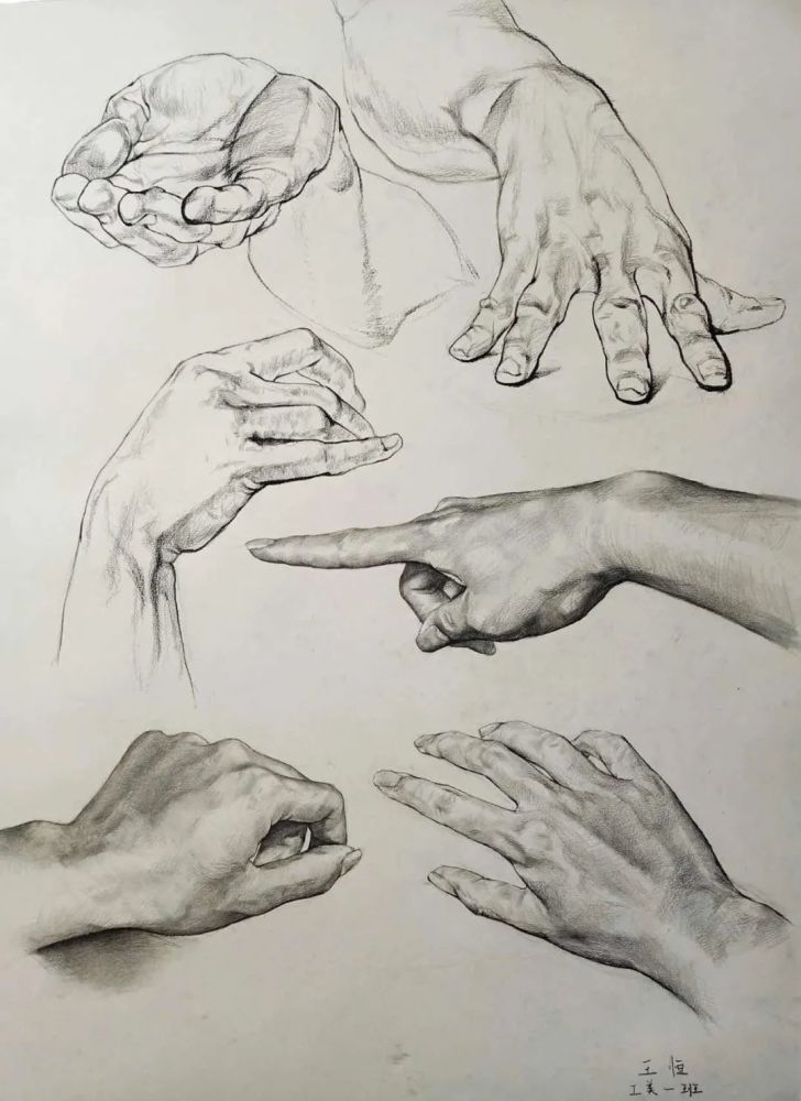 2020年西美造型艺术部素描精选张张震撼
