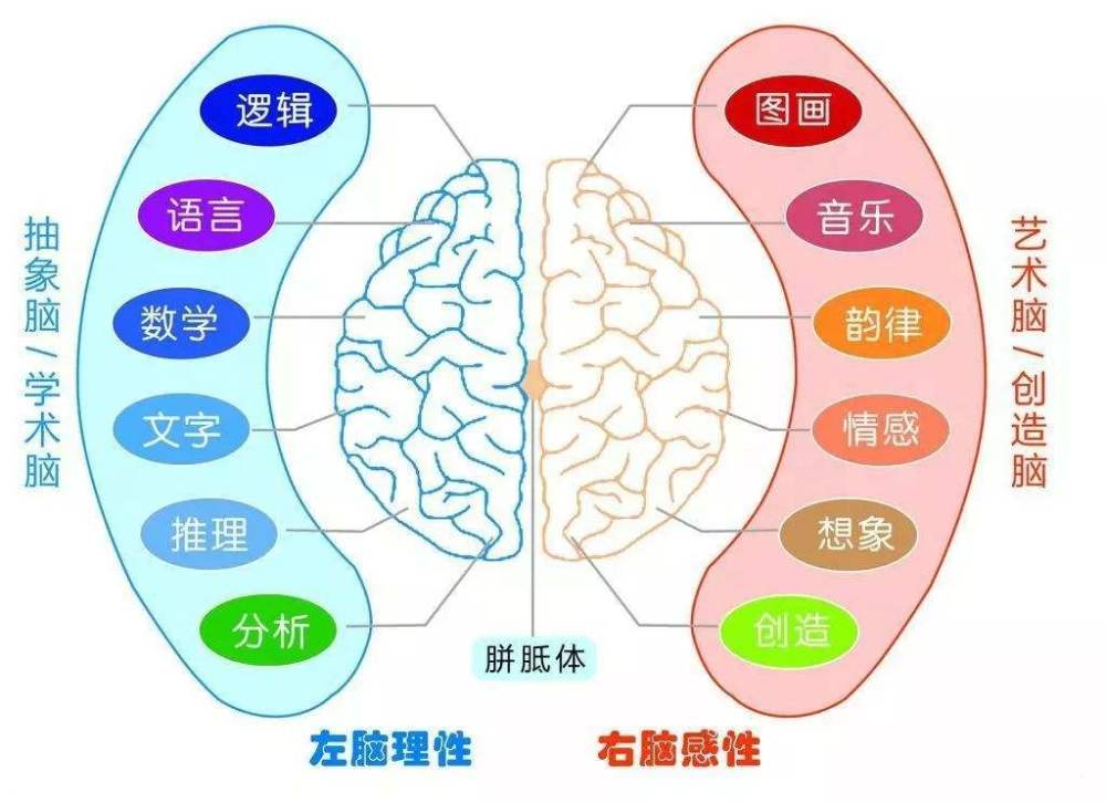 麻省理工最新发现:孩子大脑发育的最佳方案,并非是靠"阅读"_腾讯新闻