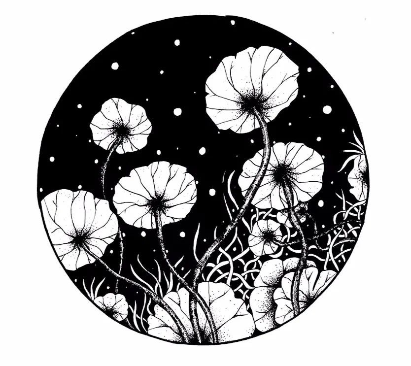 将植物花草画成黑白线描装饰画漂亮线描