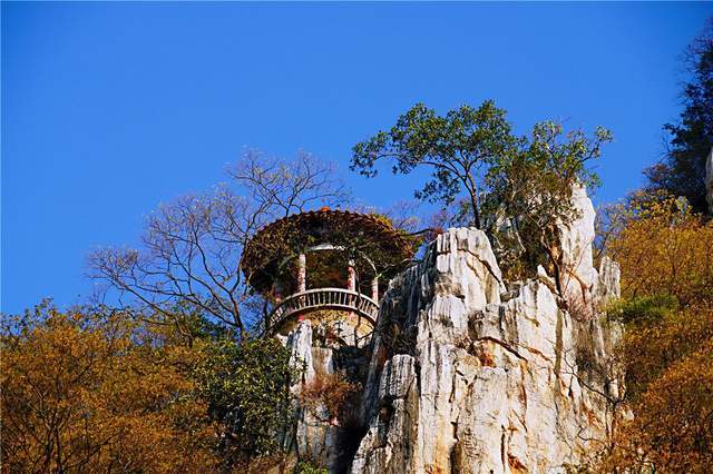 一天之内领略到四季分明的景色|南洞风景区|云南|开远市|林木