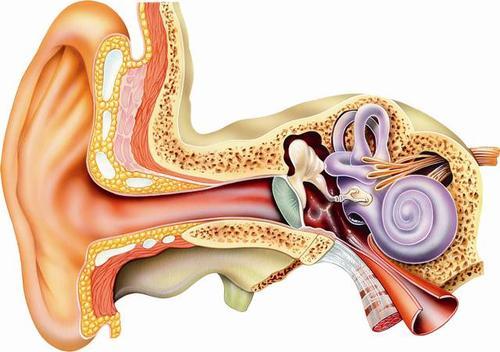 狐臭|轻度狐臭与重度狐臭的区别？