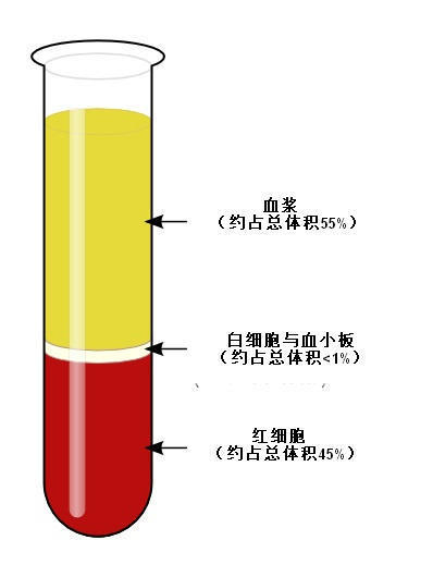 血液組成示意圖:血液主要包括血漿與血細胞(紅細胞,白細胞與血小板)