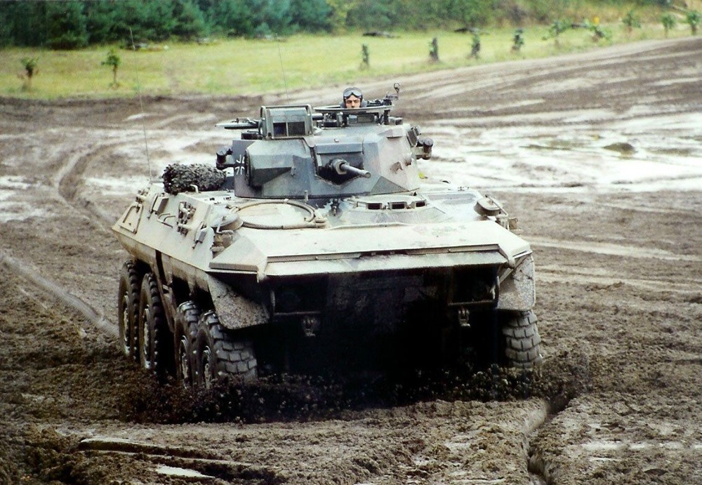 德国大山猫装甲车图片