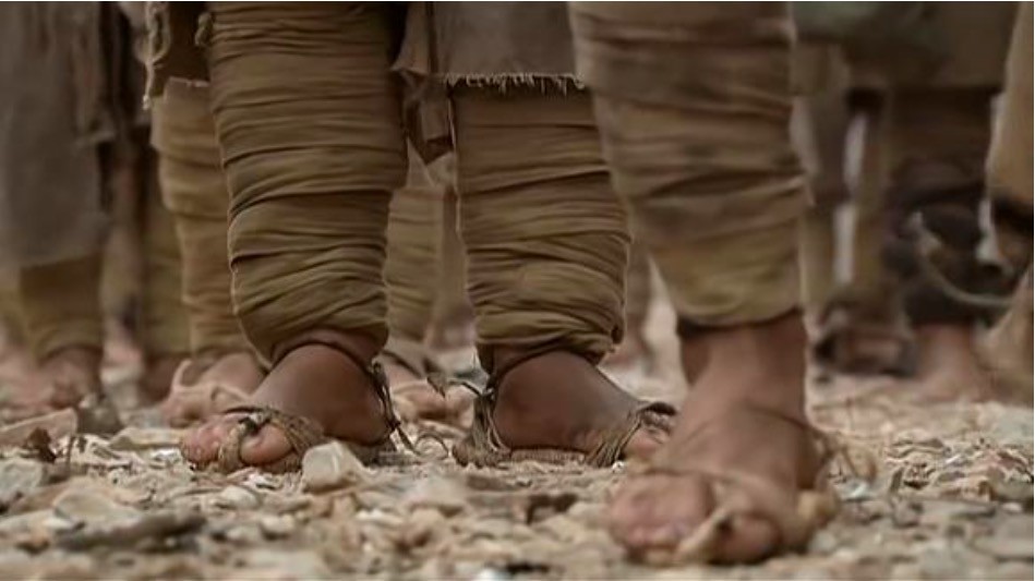 他是国军副军长,人称"杨草鞋",后组织捉蒋敢死队,结果呢?