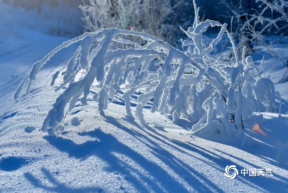 美极了内蒙古牙克石兴安岭现雾凇景观