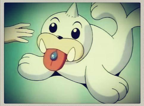 神奇宝贝图鉴no086淡蓝色的柔软体毛能抵御严寒小海狮