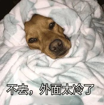 冷到海南人直喊呱这些冻出来的病要当心