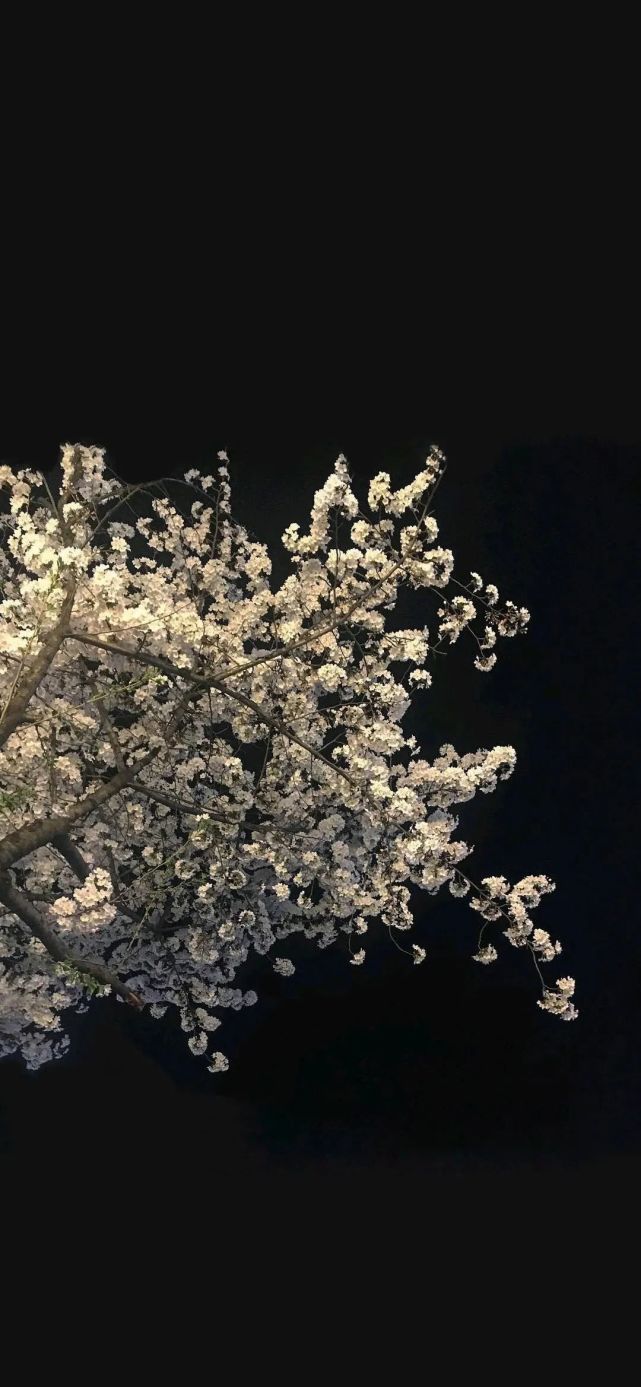 暗色壁纸 腾讯网