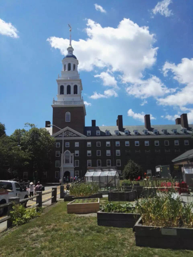 毕业|哈佛大学|大学|圣塔克拉拉