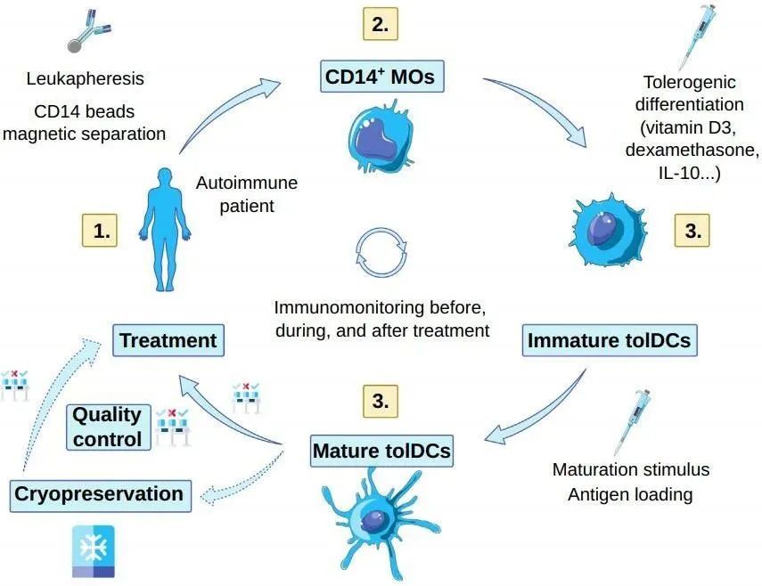 耐受性樹突狀細胞治療自身免疫和炎症性疾病的新手段