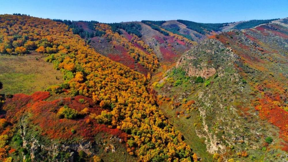 内蒙古这座山美景如画,北魏皇帝曾被吸引建宫,你知道是哪里吗?