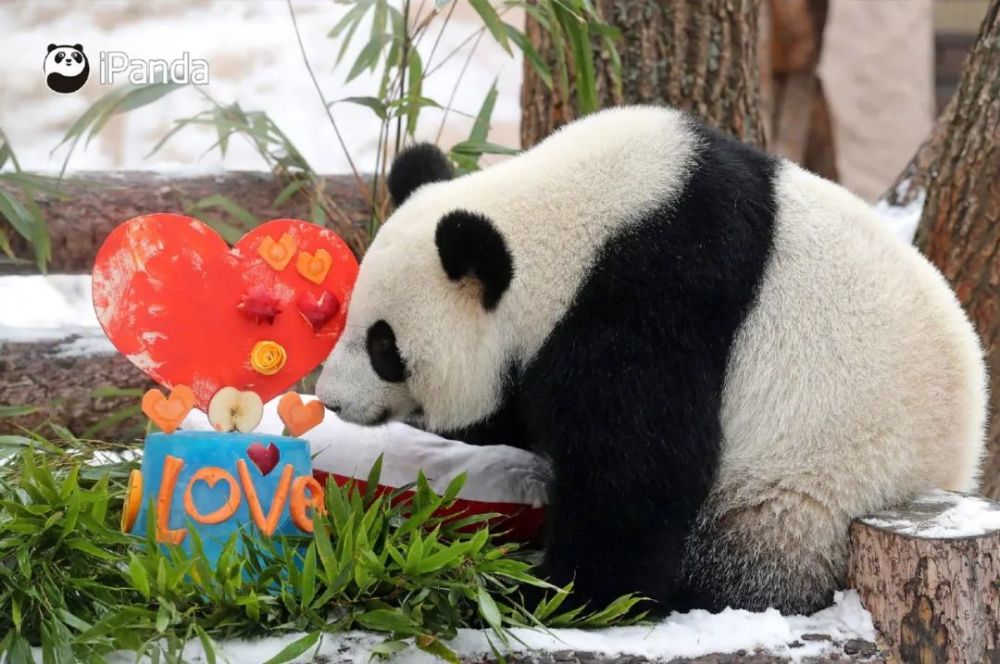 画板上作画 看似漫不经心 但一幅抽象画作就这样慢慢诞生 @玲玲振玉