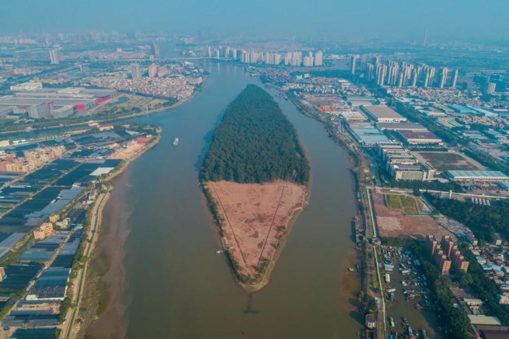 桂城三山千顷生态公园来了!