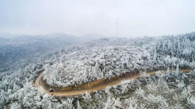 银装素裹兴义七舍白龙山雾淞景观美如画