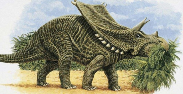 史前巨兽-开角龙