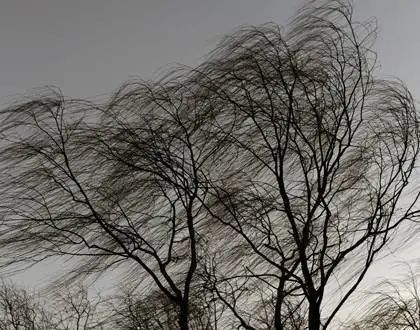 通知丨宁夏气象台发布预警,9级大风又来了!_腾讯新闻