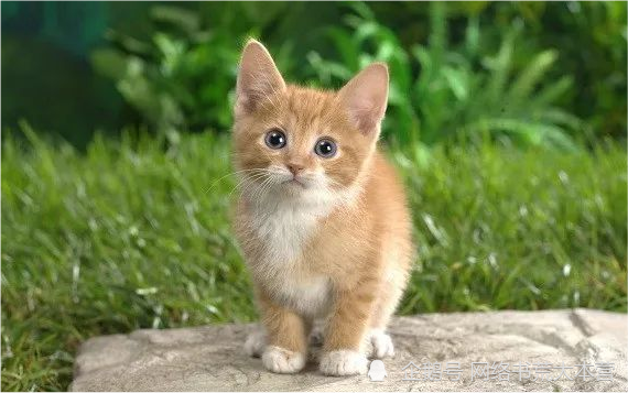 【阿宾推书】二十一期,港综+港娱小说